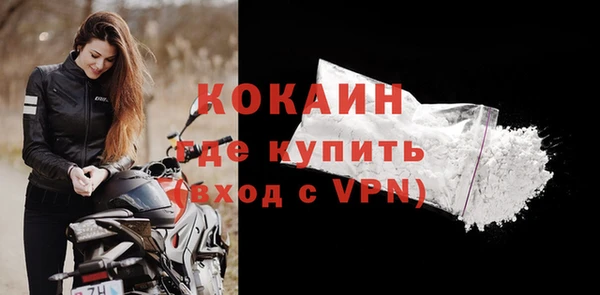 молекула духа Бородино