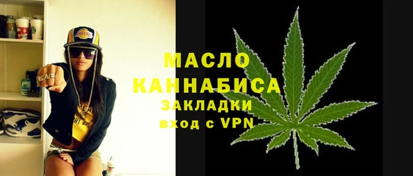 молекула духа Бородино