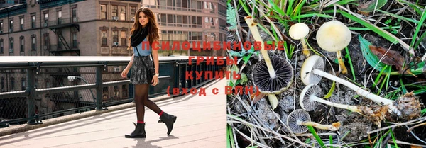 молекула духа Бородино