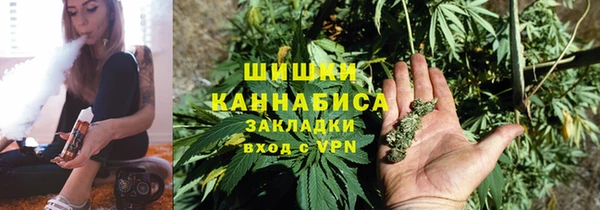 молекула духа Бородино