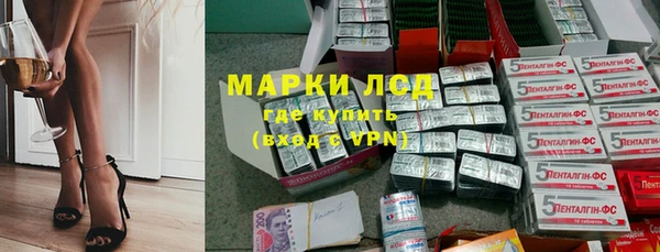 молекула духа Бородино