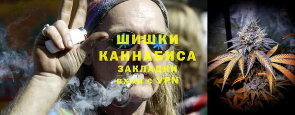 молекула духа Бородино
