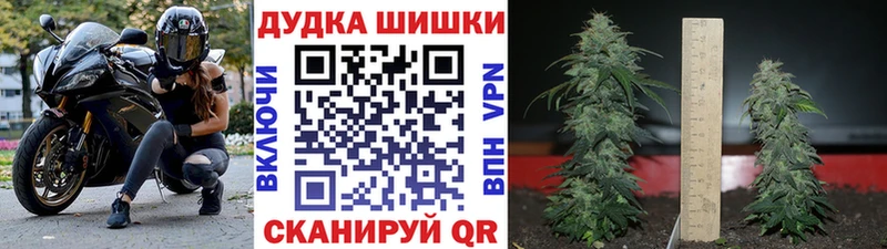 OMG маркетплейс  Юхнов  Марихуана индика 
